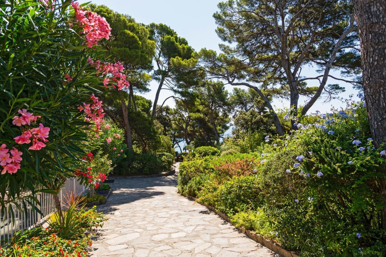 Parc Et Residence Le Provencal Hyeres Luaran gambar